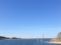 2016-05-07 16h34m34 - Vissershaven - Rob Eveleens